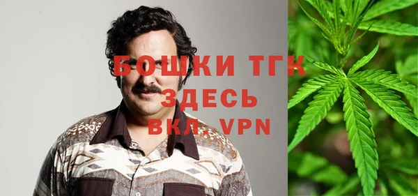 прущие грибы Ельня