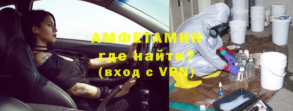 прущие грибы Ельня