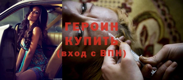 прущие грибы Ельня