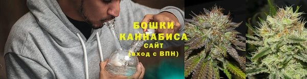 прущие грибы Ельня