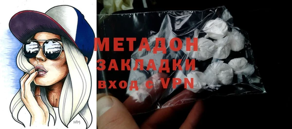 прущие грибы Ельня