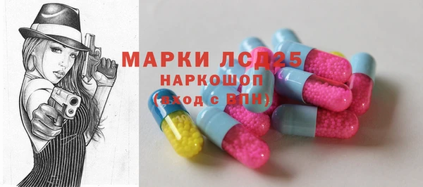 прущие грибы Ельня