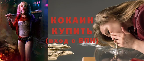 гидра Елабуга
