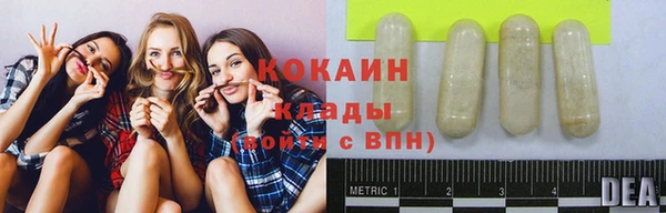прущие грибы Ельня