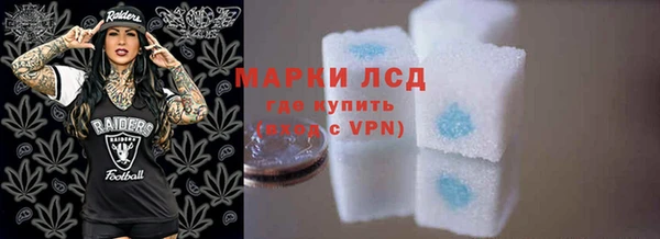 гидра Елабуга