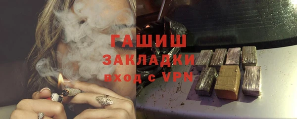 прущие грибы Ельня