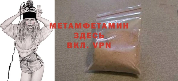 прущие грибы Ельня