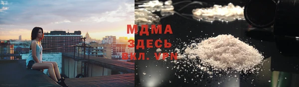 прущие грибы Ельня