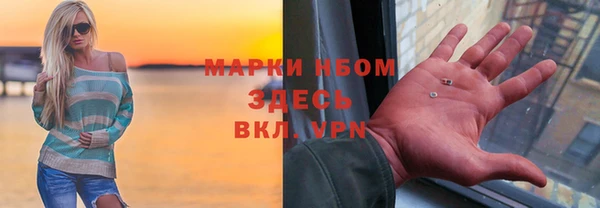 гидра Елабуга