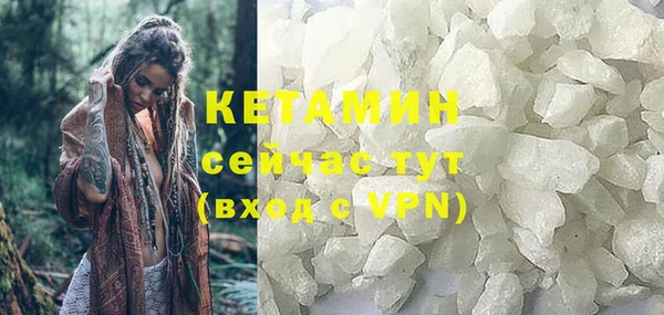 гидра Елабуга