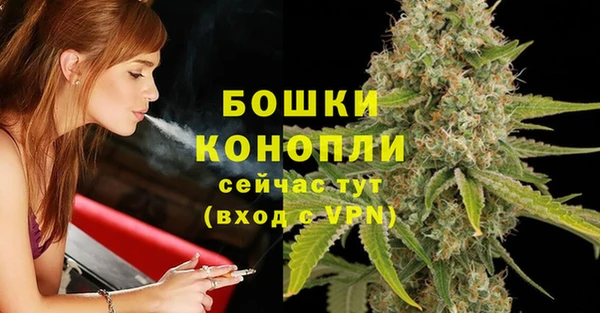 гидра Елабуга