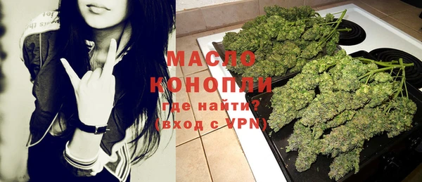 прущие грибы Ельня