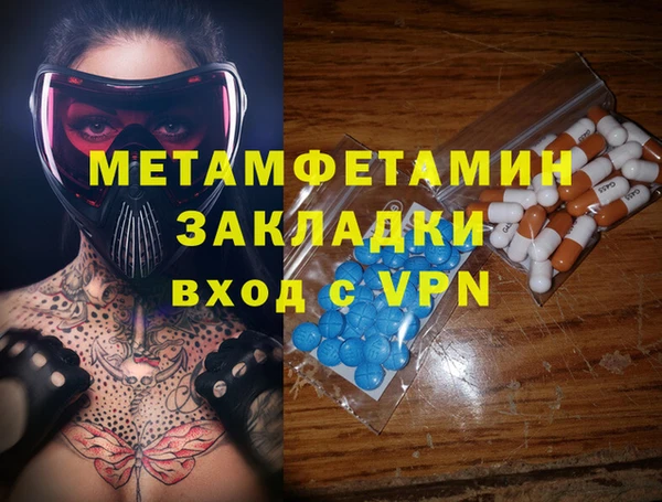 прущие грибы Ельня