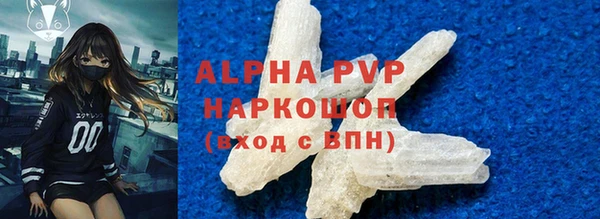 прущие грибы Ельня