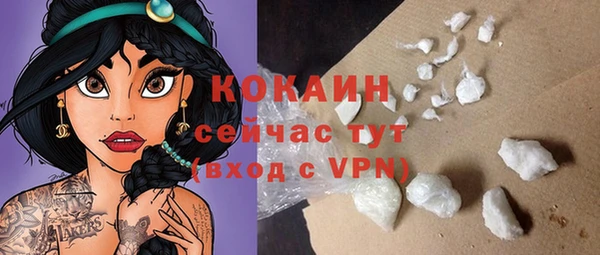 прущие грибы Ельня
