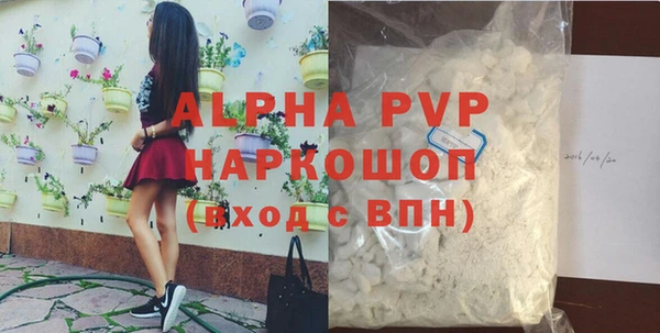 прущие грибы Ельня