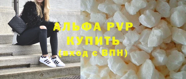 прущие грибы Ельня