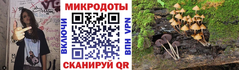 Купить  Мценск  Псилоцибиновые грибы MAGIC MUSHROOMS 